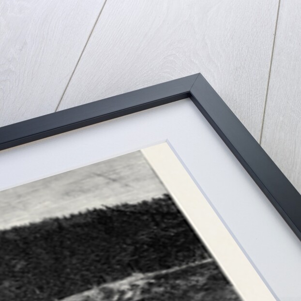 In the Harz Mountains: Slate Working, the First Introduction of British Spades at the Frankenberg Quarry by Anonymous