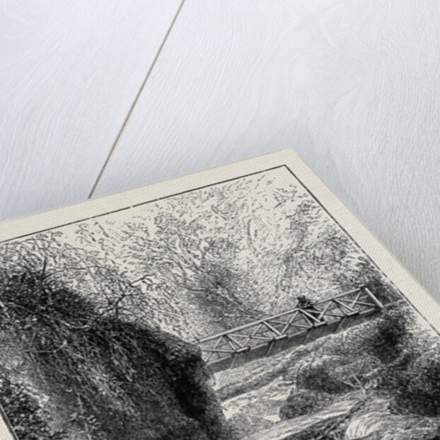 The Cinchona Plantations at Darjeeling, Bengal: Foot-Bridge Over the River Rungbee by Anonymous