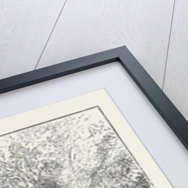 The Cinchona Plantations at Darjeeling, Bengal: Foot-Bridge Over the River Rungbee by Anonymous