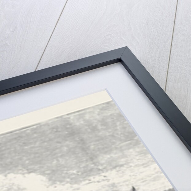 Mr. S.J. Mackie's Steamer by Anonymous