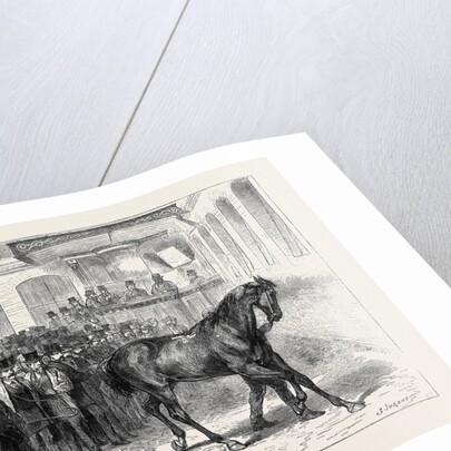 Sale of the Horses of the Tenth Hussars at Tattersall's: Crusader Under the Hammer by Anonymous