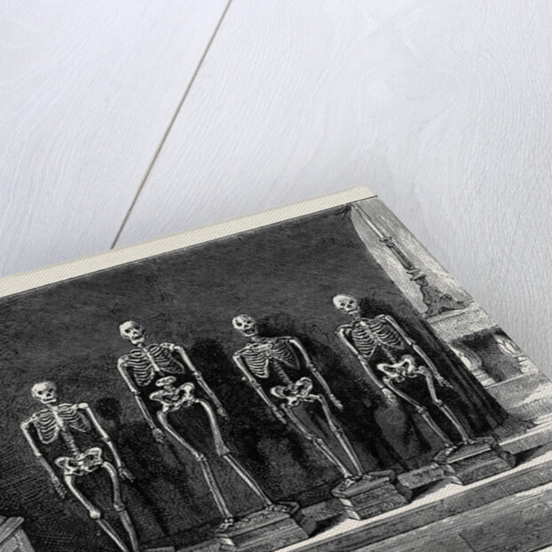 A Visit to the Battlefield of Solferino: Skeletons Found on the Battlefield by Anonymous