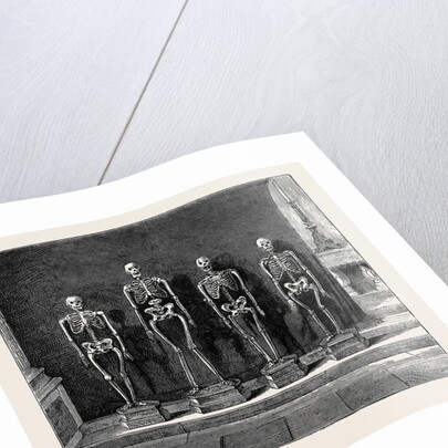 A Visit to the Battlefield of Solferino: Skeletons Found on the Battlefield by Anonymous