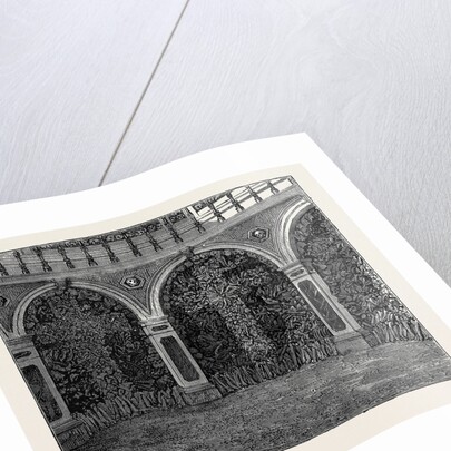 A Visit to the Battlefield of Solferino: Bones in the Ossuary by Anonymous