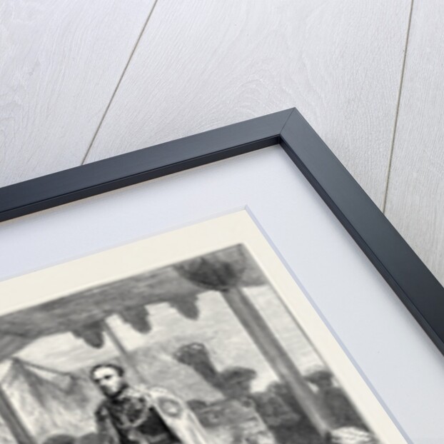 The Grand Durbar at Bombay: The Viceroy of India and a Group of Native Princes by Anonymous