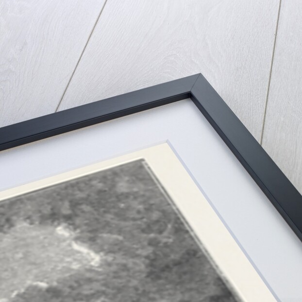 The Hurricane at Plymouth: Ships in Distress Burning Blue-Lights in Batten Bay by Anonymous