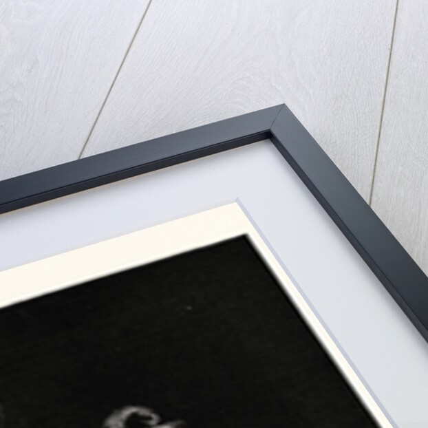 Fine Feathers Make Fine Birds by Anonymous