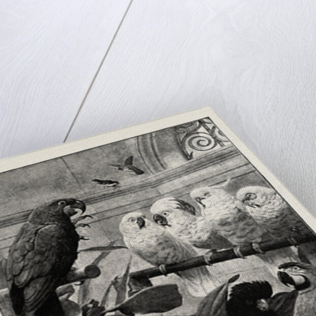 A Select Committee by Anonymous