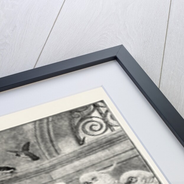 A Select Committee by Anonymous