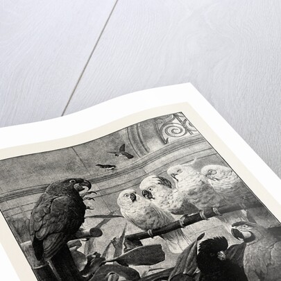 A Select Committee by Anonymous