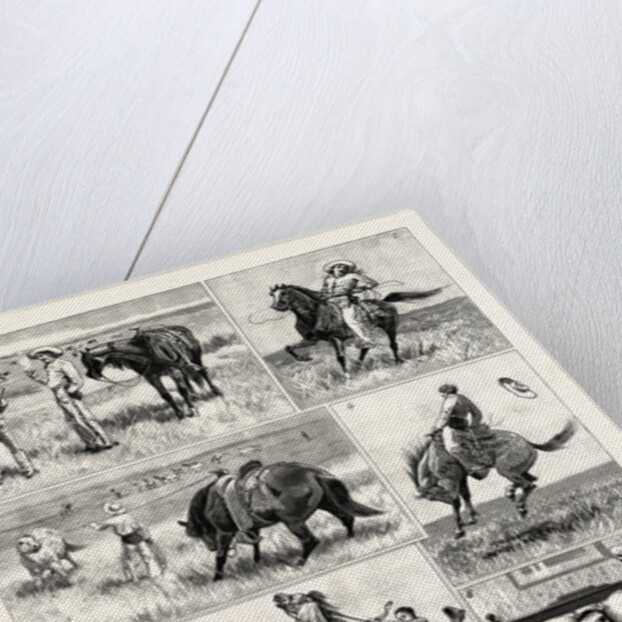 My First and Last Experience of a Broncho by Anonymous