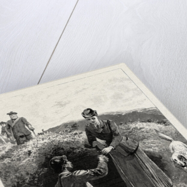 Grouse Shooting on the Moors: The Cup that Cheers, But Not Inebriates by Anonymous