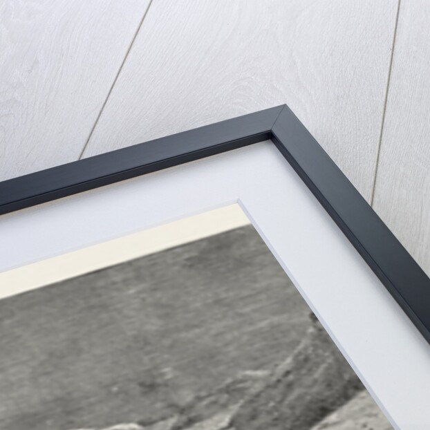 The Fatal Accident on Mont Blanc: Descent of a Guide Into the Crevasse 105 Feet Deep in Search of the Bodies of Herr Rothe and the Guide Michel Simond by Anonymous