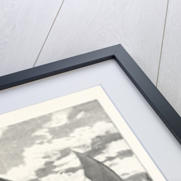 A Jangada Race on the Coast of Northern Brazil by Anonymous