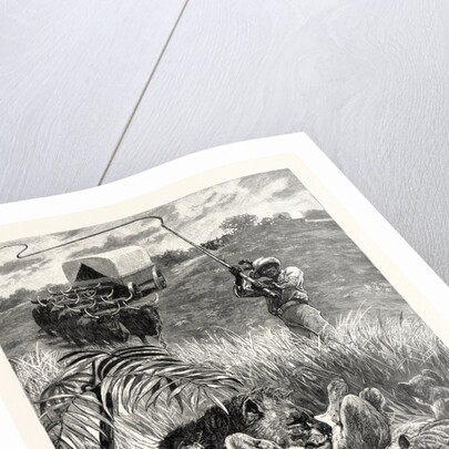 A Rude Awakening: An Incident of South African Travel, Raising His Giant Ox-Whip, He Brought It Down Amongst Them with a Succession of Cracks that Rivalled the Report of a Shore-Shooter's Duck-Gun by Anonymous