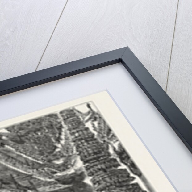 The Royal Family of Siam: The King and Crown Prince in Front of the Royal Pavilion by Anonymous