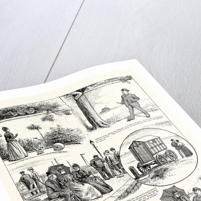 The Story of a Seaside Elopement: Edwin Loved Her Dearly, But, Being Poor, is Forbidden the House by Anonymous