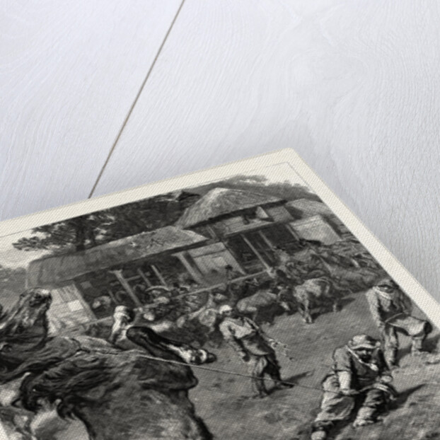 The Mustangs at Littleton Park Farm, Near Shepperton, Lassoing a Colt by Anonymous