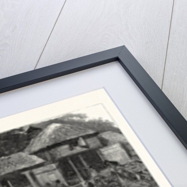 The Mustangs at Littleton Park Farm, Near Shepperton, Lassoing a Colt by Anonymous