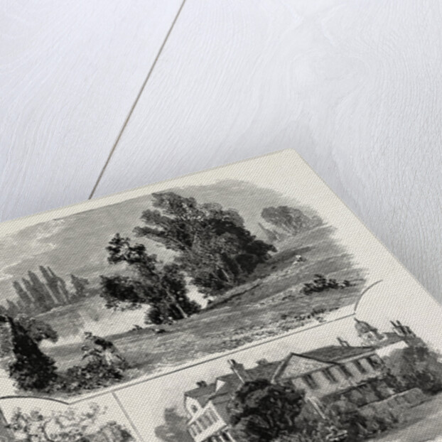 Sketches in Waterlow Park, which Has Been Presented to the Public by Sir Sydney Waterlow by Anonymous