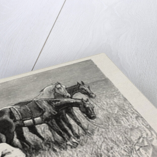 Sketches of Life on an Estancia in the Argentine Republic: The Capataz, or Overseer, Branding the Calves by Anonymous