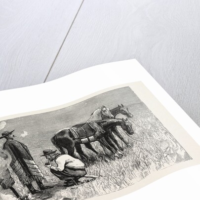 Sketches of Life on an Estancia in the Argentine Republic: The Capataz, or Overseer, Branding the Calves by Anonymous