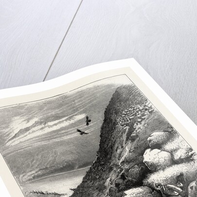 Above Loch Ettive a Bad Miss after a Long Stalk by Anonymous