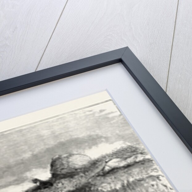 Deer Stalking in the Forest of the Black Mount, Argyllshire: The Coup De Grace by Anonymous