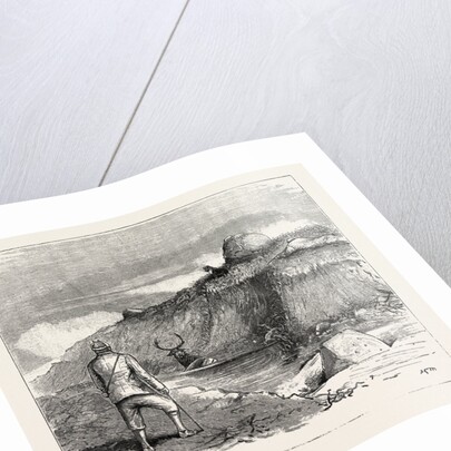 Deer Stalking in the Forest of the Black Mount, Argyllshire: The Coup De Grace by Anonymous