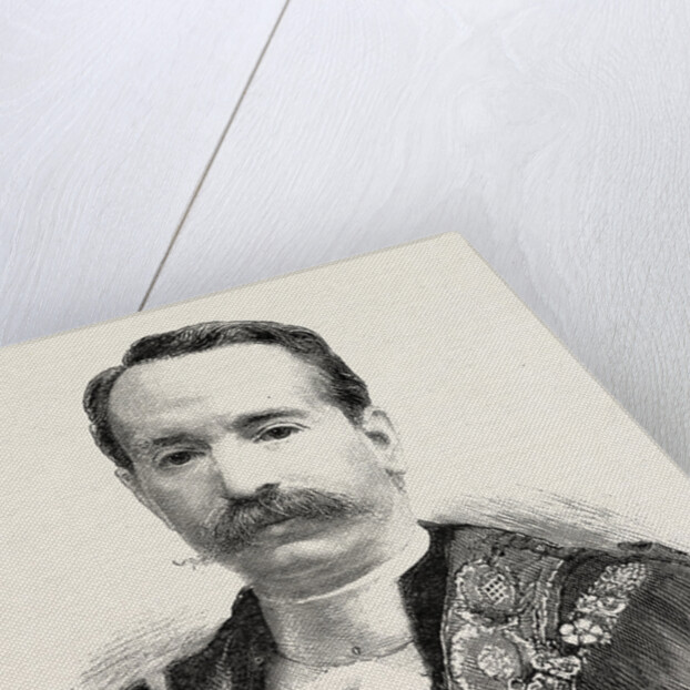 The New Lord Mayor, Mr. Alderman David Evans by Anonymous