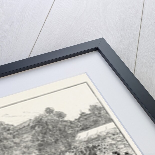 H.R.H. The Prince of Wales Attending Her Majesty at the Royal Jubilee Garden Party Held in the Grounds of Buckingham Palace, 1887 by Anonymous