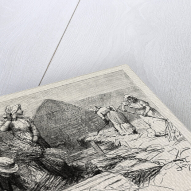 Tess of the D'Urbervilles by Anonymous