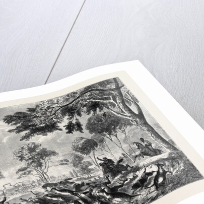 Sketches in Australia: Kangaroo Hunting by Anonymous