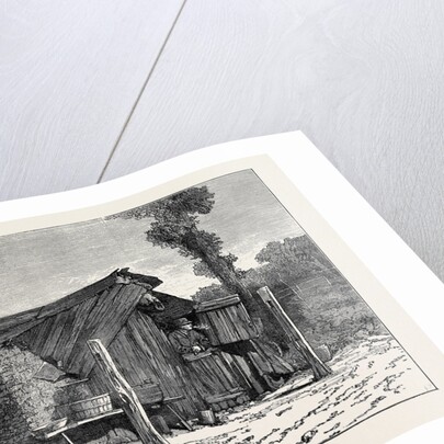 Sketches from Australia in Relation to the Tichborne Case: Hut in which the Claimant is Said to Have Lived at Wagga Wagga by Anonymous