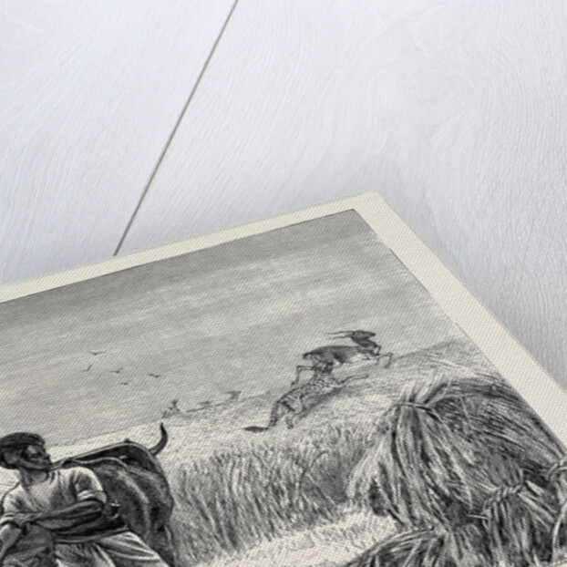 Sketches from India, Antelope Hunting: Loosing the Cheetah by Anonymous