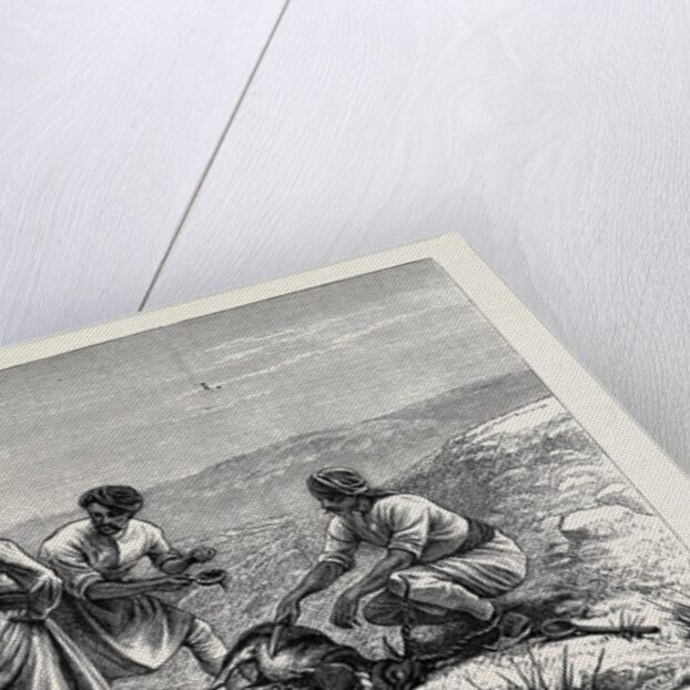 Sketches from India, Antelope Hunting: Caught by Anonymous