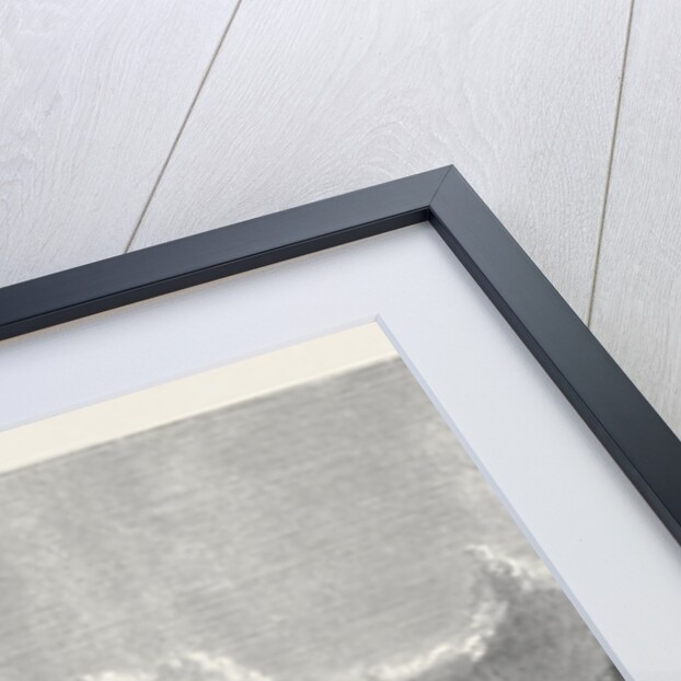 The Proposed Channel Ferry: The Ferry Steamer by Anonymous