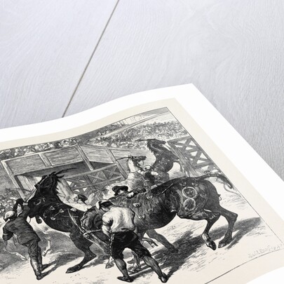 Rome: The Carnival Races: The Barberi Going Up to the Start by Anonymous