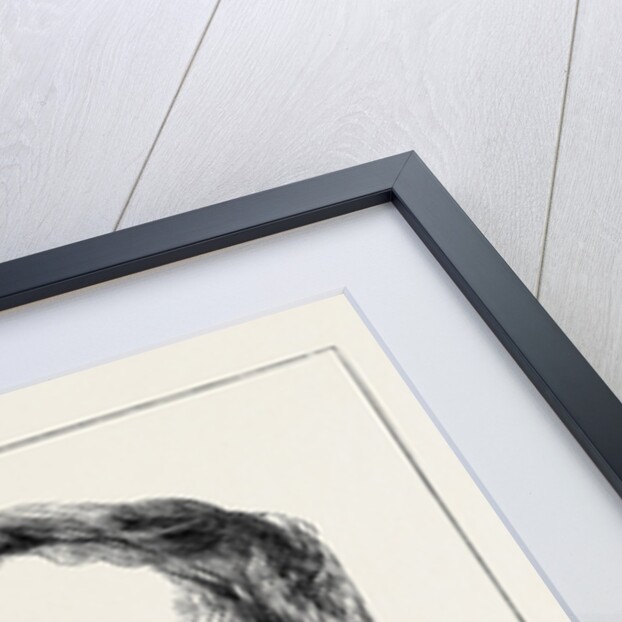 The Orleans Family: Duc D'Aumale by Anonymous