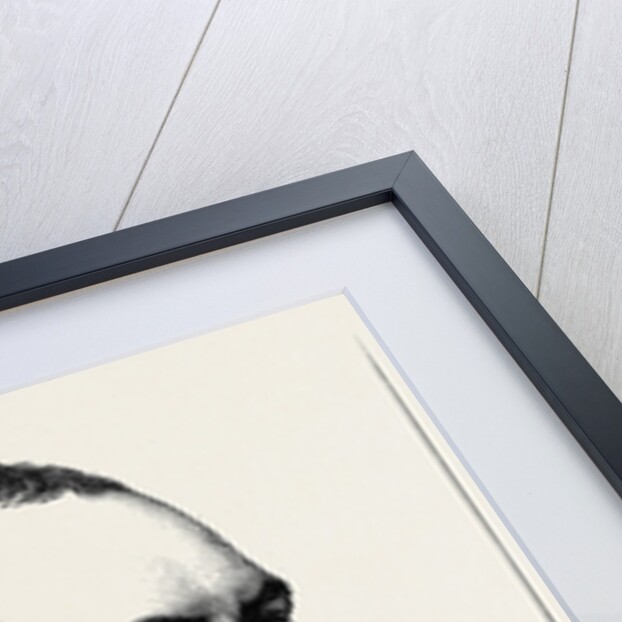 The Orleans Family: Comte De Paris by Anonymous