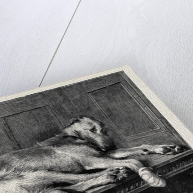 Much Ado About Nothing, in the Dudley Gallery by Anonymous