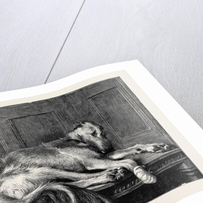 Much Ado About Nothing, in the Dudley Gallery by Anonymous