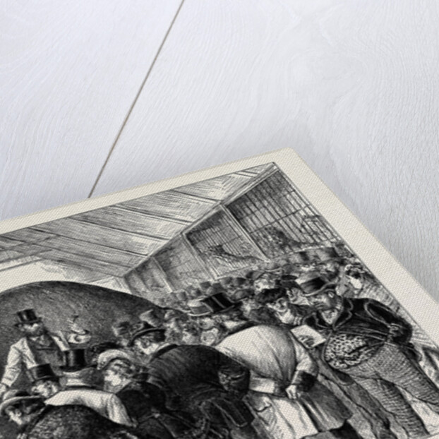 The Sale of a Menagerie: Knocking Down the Elephant by Anonymous