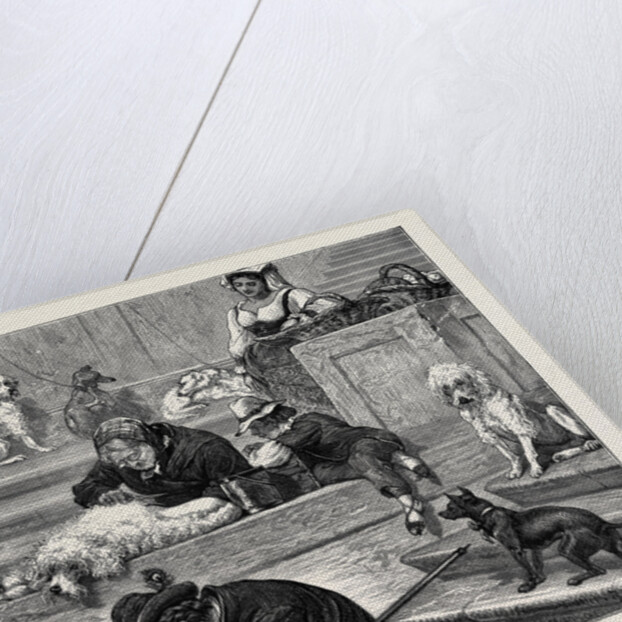 Rome: Shaving Dogs on the Steps of the Trinita De Monti by Anonymous