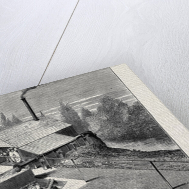 The New Plan of Sheepwashing by Anonymous