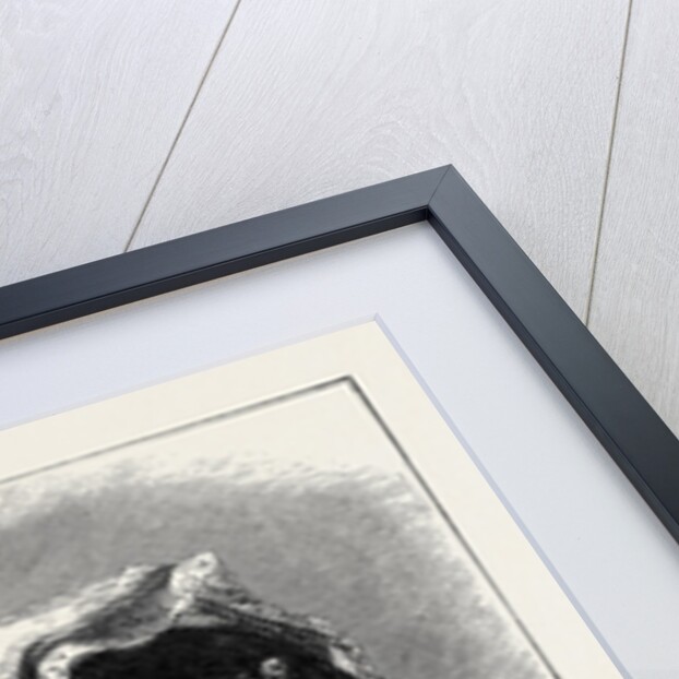 Miss Clara-Louise Kellogg by Anonymous