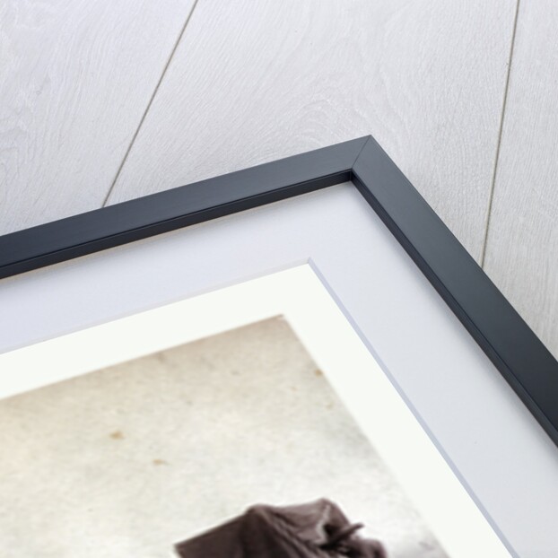 William Gardner in Front and Alex Gardner in the Back 309 Miles West of St. Louis, Missouri, 1867 by Anonymous