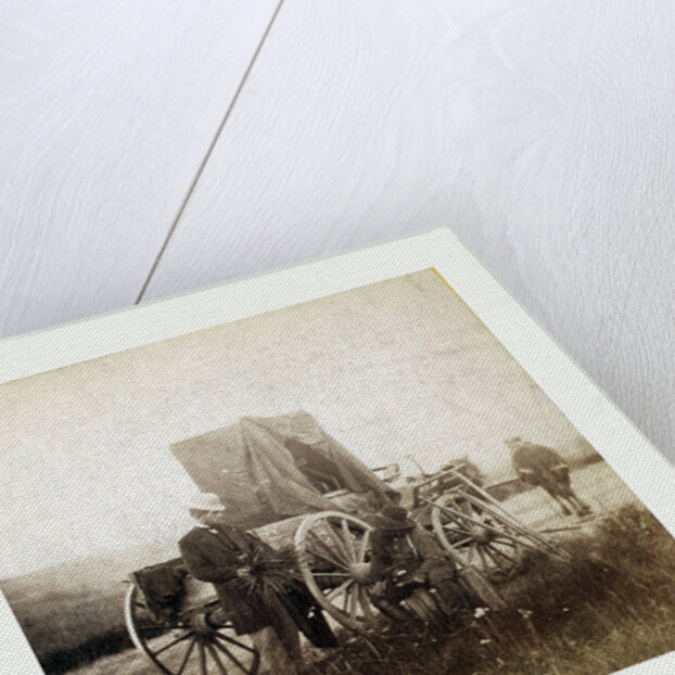 From Gardner Photographic Art Gallery, Seventh Street, Washington. Title, Across the Continent on the Union Pacific Railway, Eastern Division. A Rare Specimen Found on Hill above Fort Riley, Kansas, 1867 by Anonymous