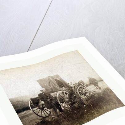 From Gardner Photographic Art Gallery, Seventh Street, Washington. Title, Across the Continent on the Union Pacific Railway, Eastern Division. A Rare Specimen Found on Hill above Fort Riley, Kansas, 1867 by Anonymous