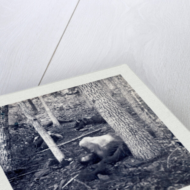 American Civil War: The Slaughter Pen at Gettysburg, Dead Soldiers in an Area Called the Slaughter Pen to the Right of the Union Line at the Foot of Round Top in Gettysburg in July of 1863 by Anonymous